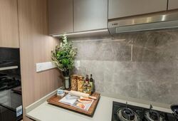 Parktown Residence (D18), Apartment #614470921